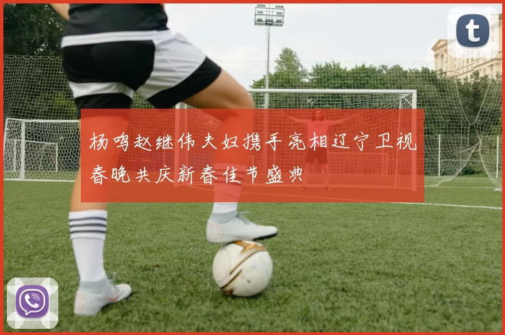杨鸣赵继伟夫妇携手亮相辽宁卫视春晚共庆新春佳节盛典